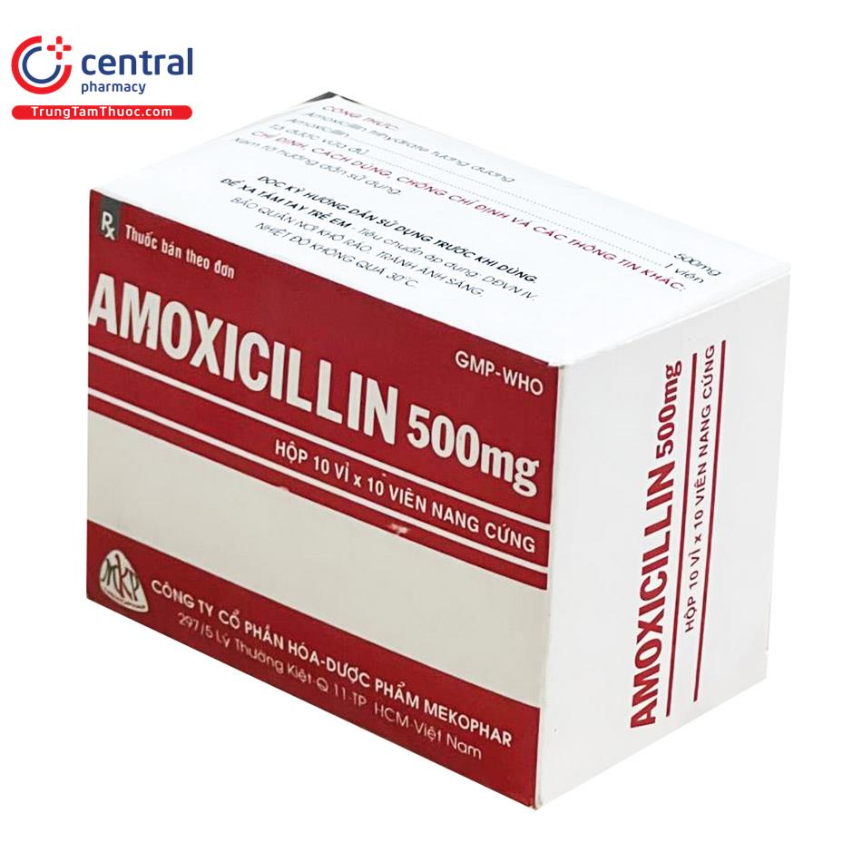 amoxicillin 500 mg mkp 4 G2587
