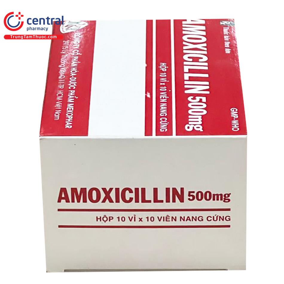 amoxicillin 500 mg mkp 5 M4246