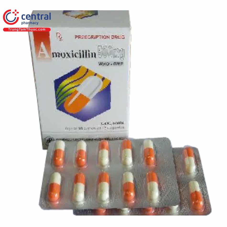 amoxicillin 500mg pharbaco 2 N5213