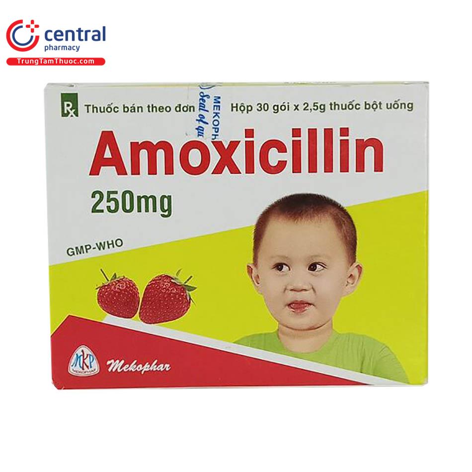 amoxicillin250mgmekophar1 F2602