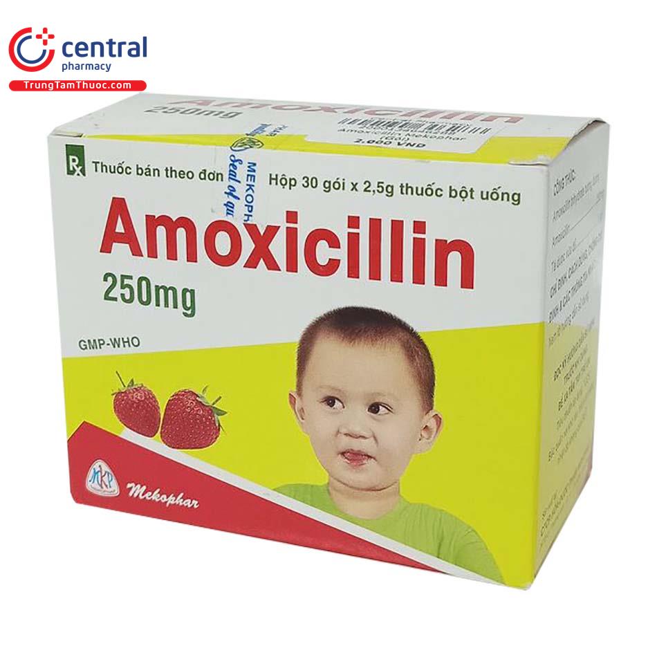 amoxicillin250mgmekophar2 R7008