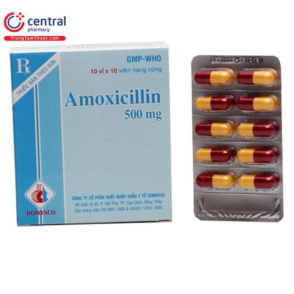 amoxicillin500mgdomesco ttt6 O5515