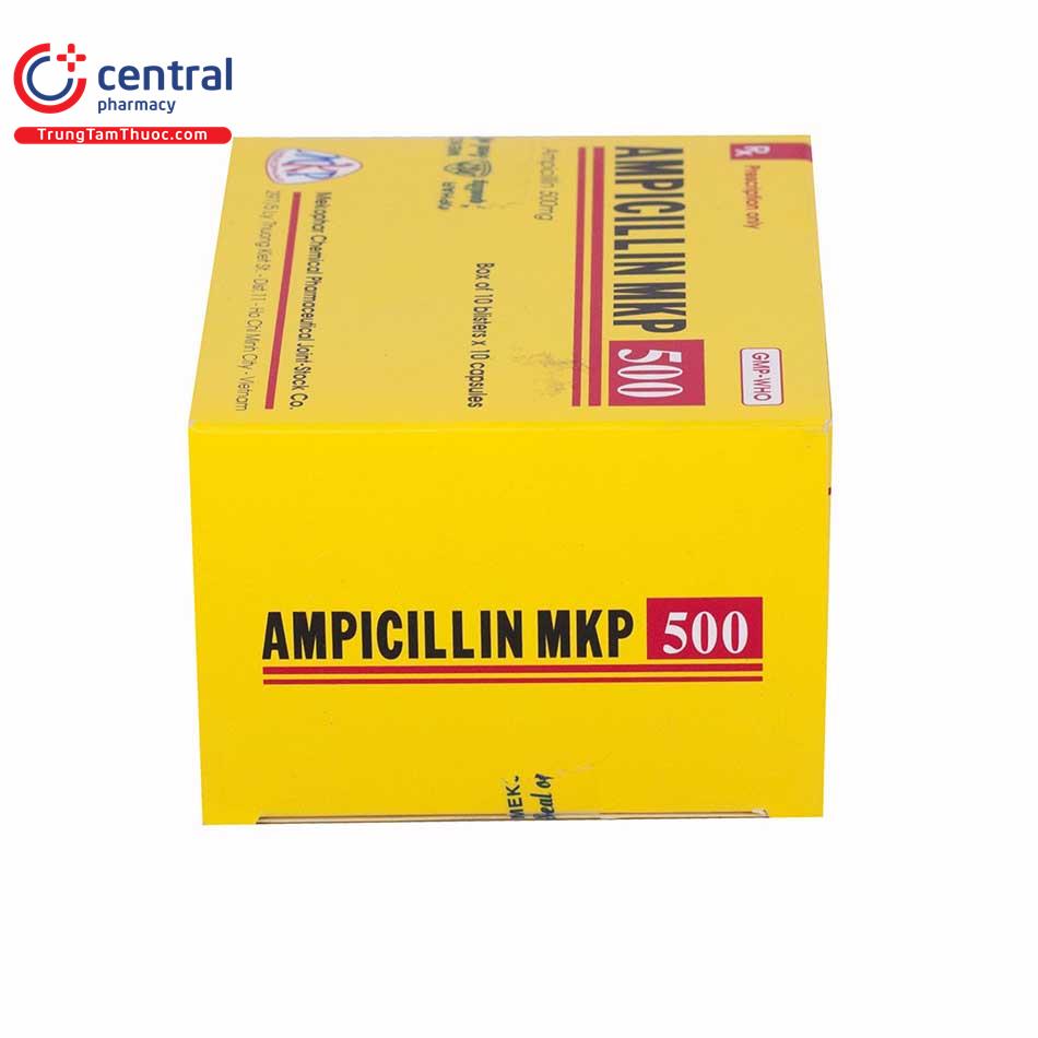 ampicillin mkp 500 6 I3350
