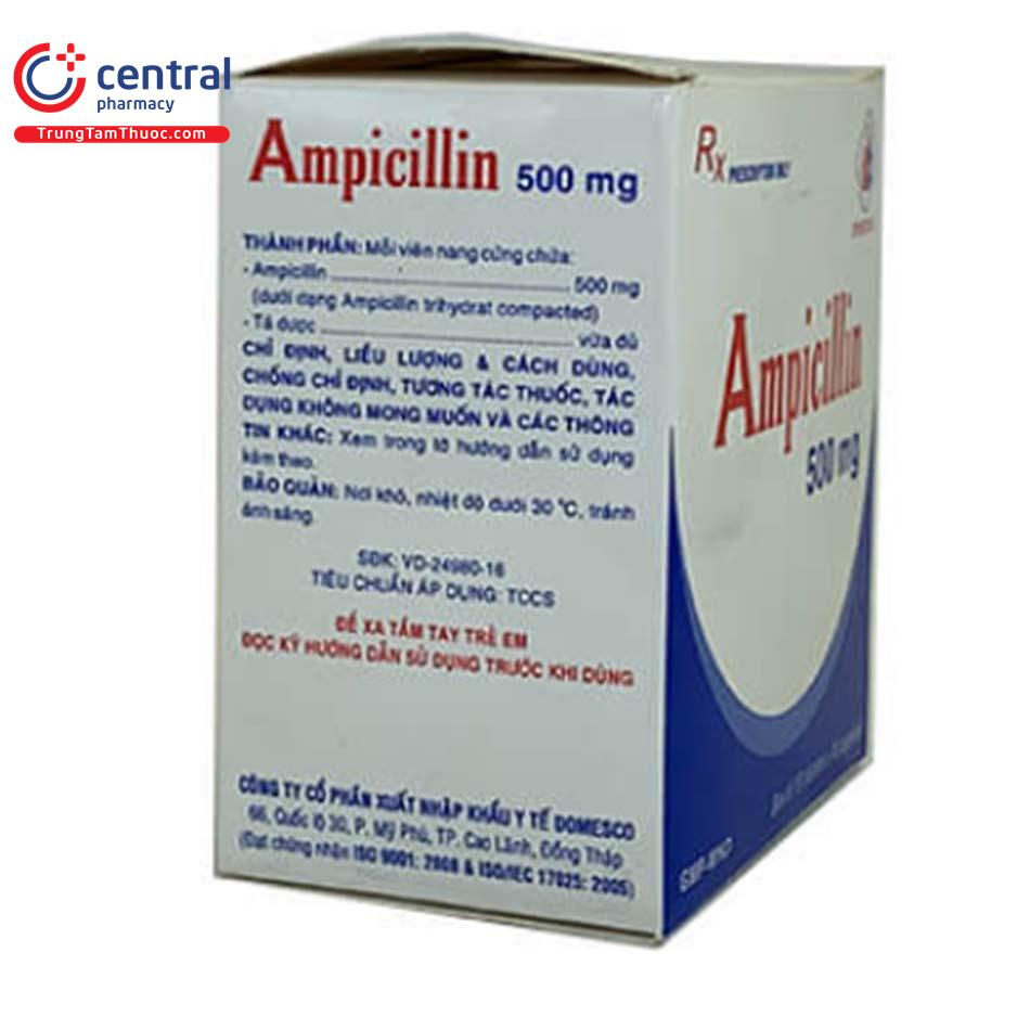 ampicillin500mgdomesco ttt7 P6463