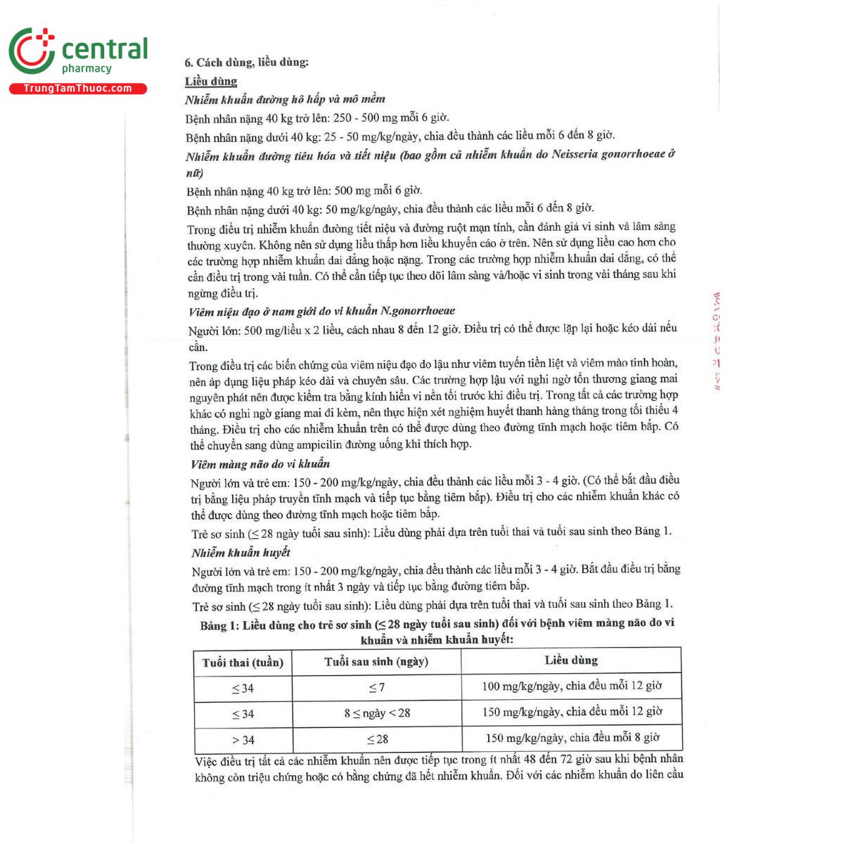 ampiphaba 1g 4 R7585