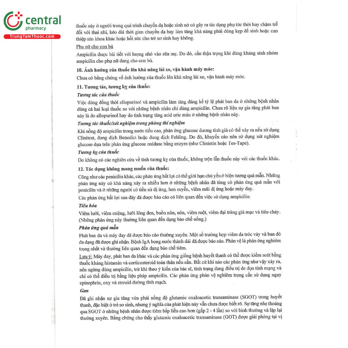 ampiphaba 1g 7 O5518