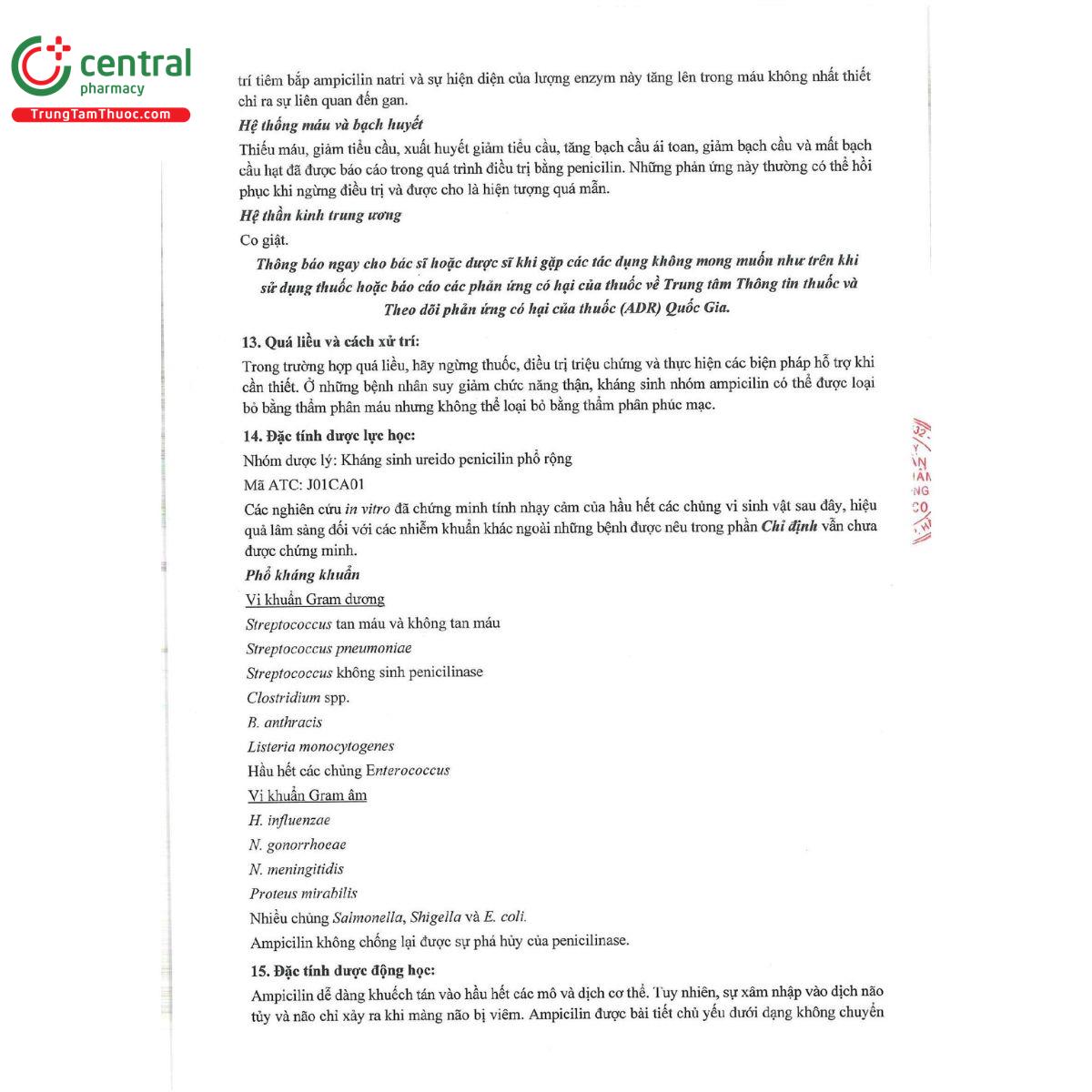 ampiphaba 1g 8 G2060