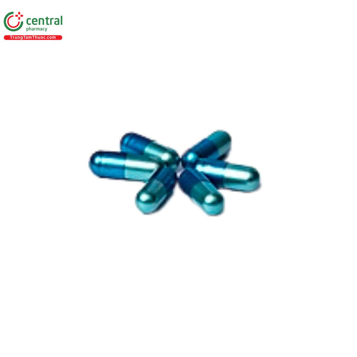 an tam dan 4 O6223 an tam dan 4 O6223