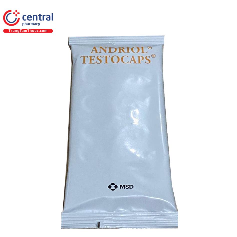 andriol testocaps 40mg capsules 14 K4552