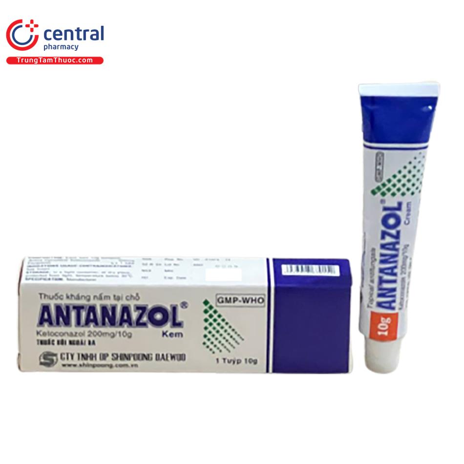 antanazol 8 L4580