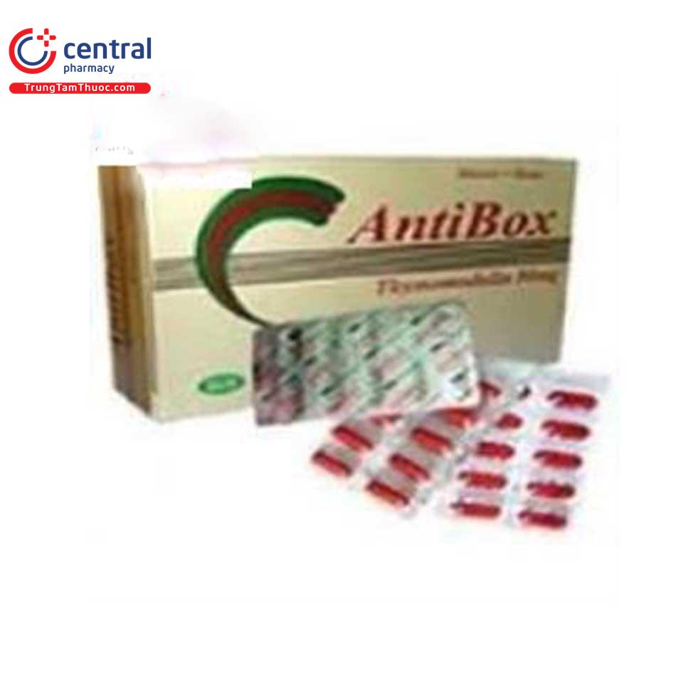 antibox 3 E1304