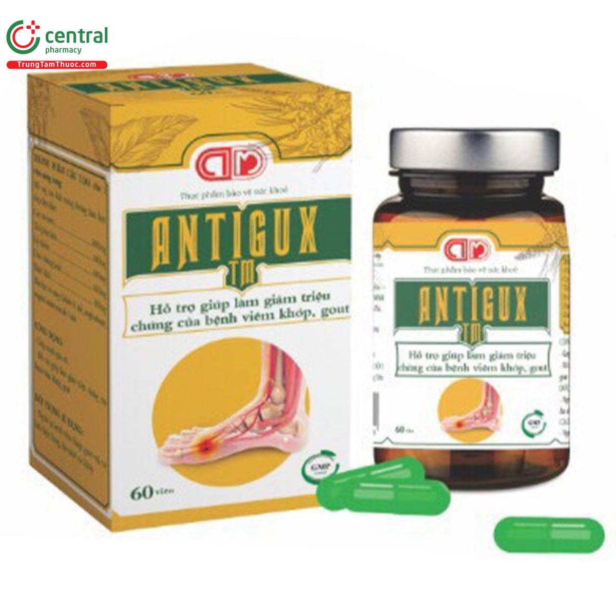 antigux tm 1 L4748