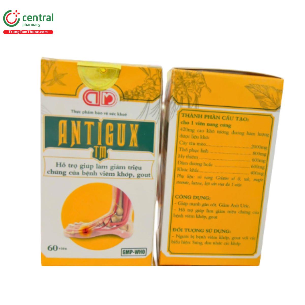 antigux tm 2 R7485
