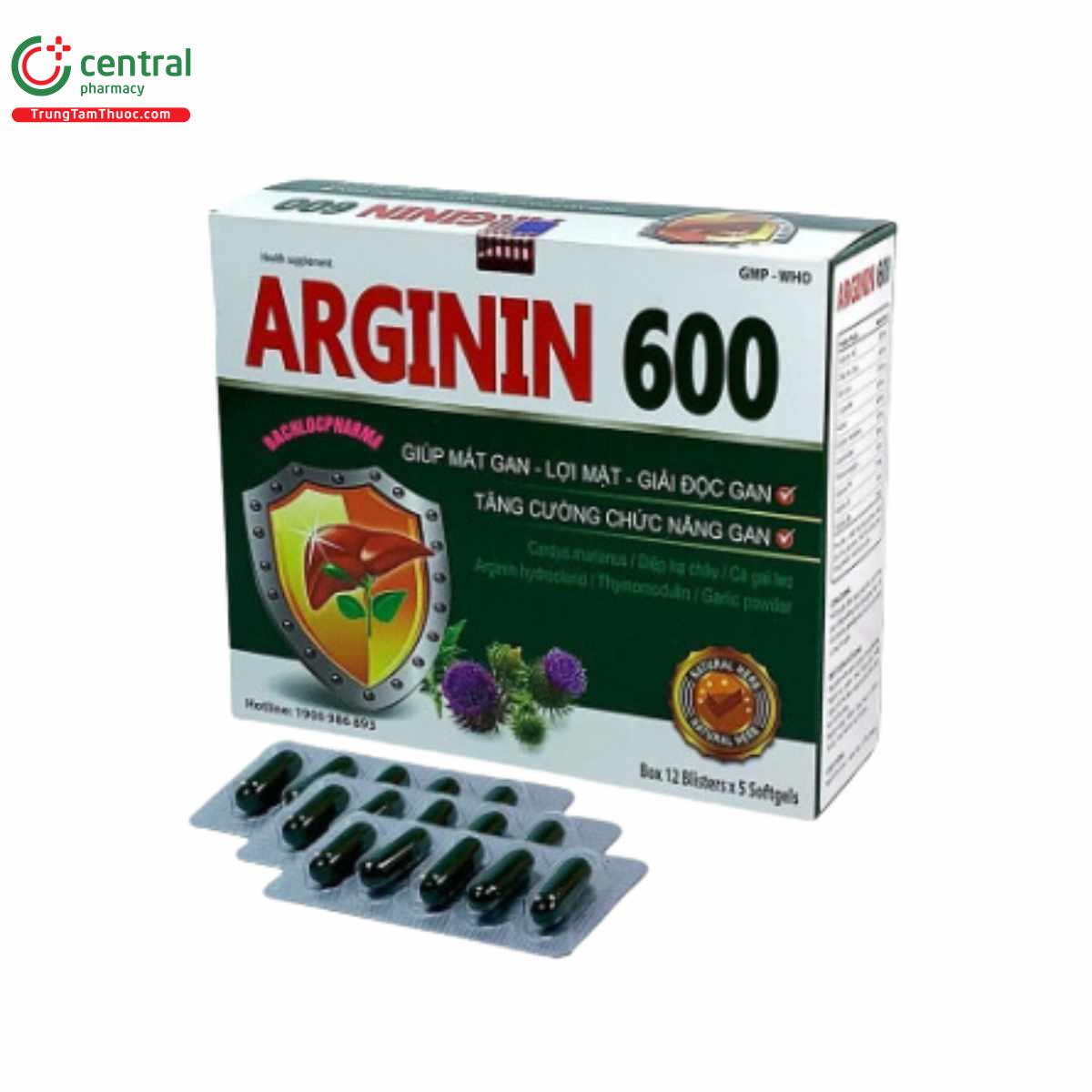 arginin 600 mediusa 1 I3274