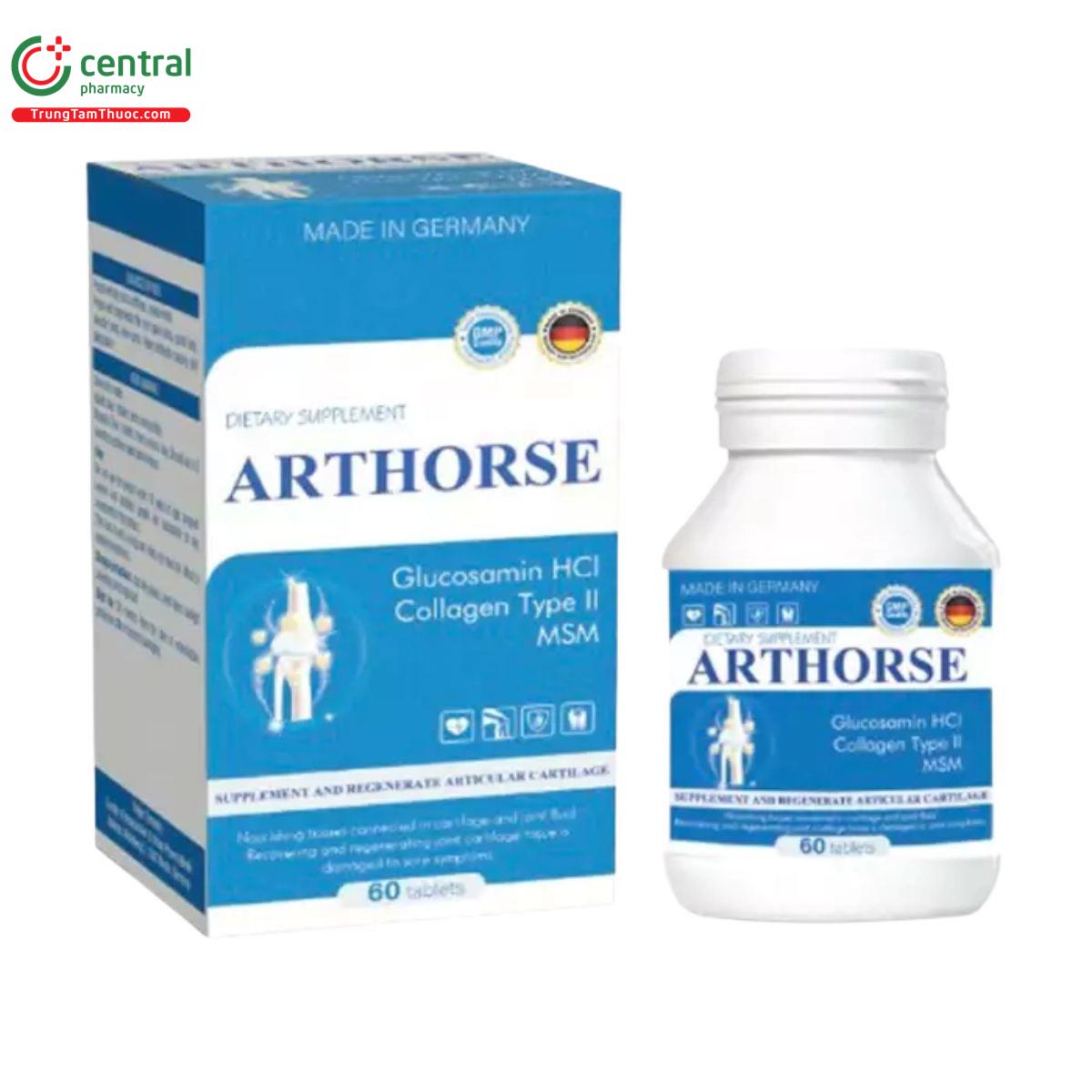 arthorse 1 P6262 arthorse 1 P6262