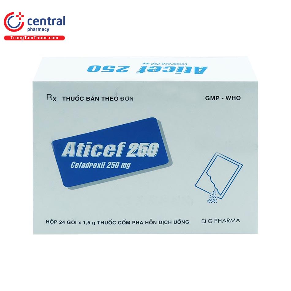 aticef 250 2 I3702