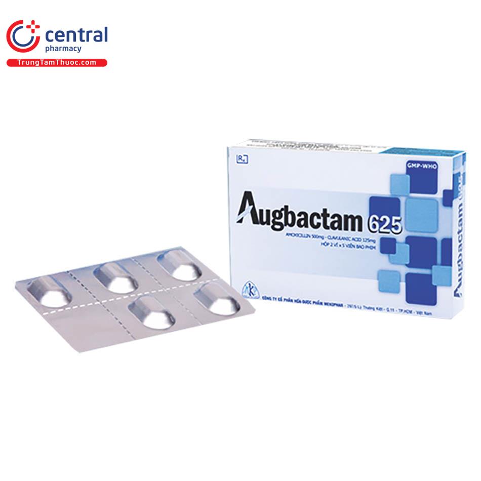 augbactam5 T8631