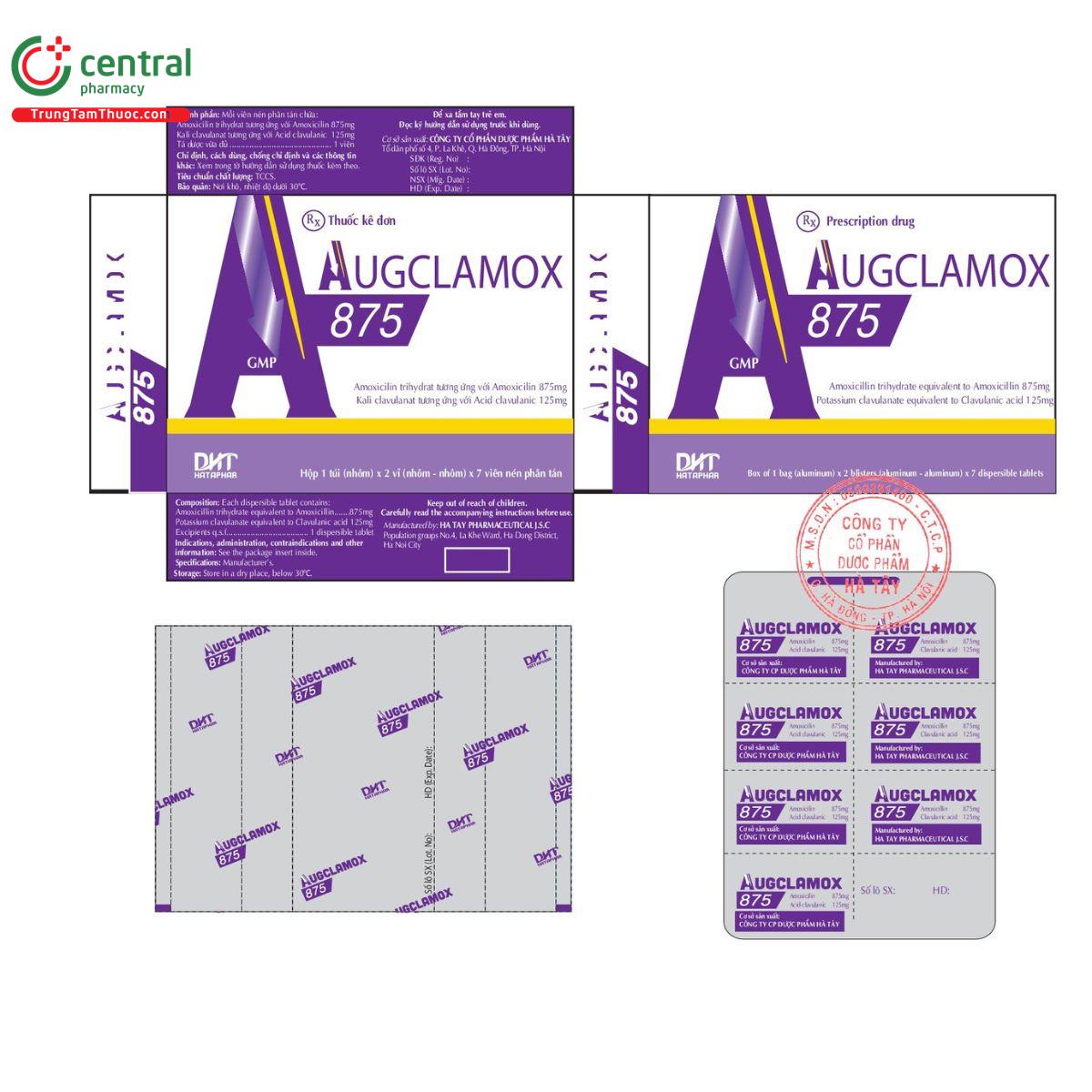 augclamox 875 3 P6613 augclamox 875 3 P6613