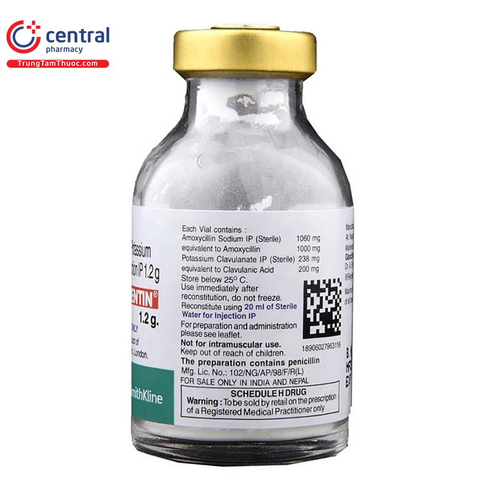 augmentin 12g 4 A0511