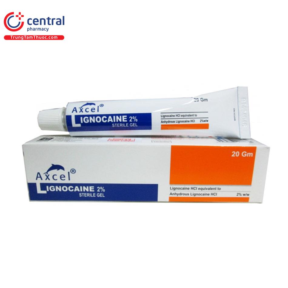 axcel lignocaine 2 1 C1044