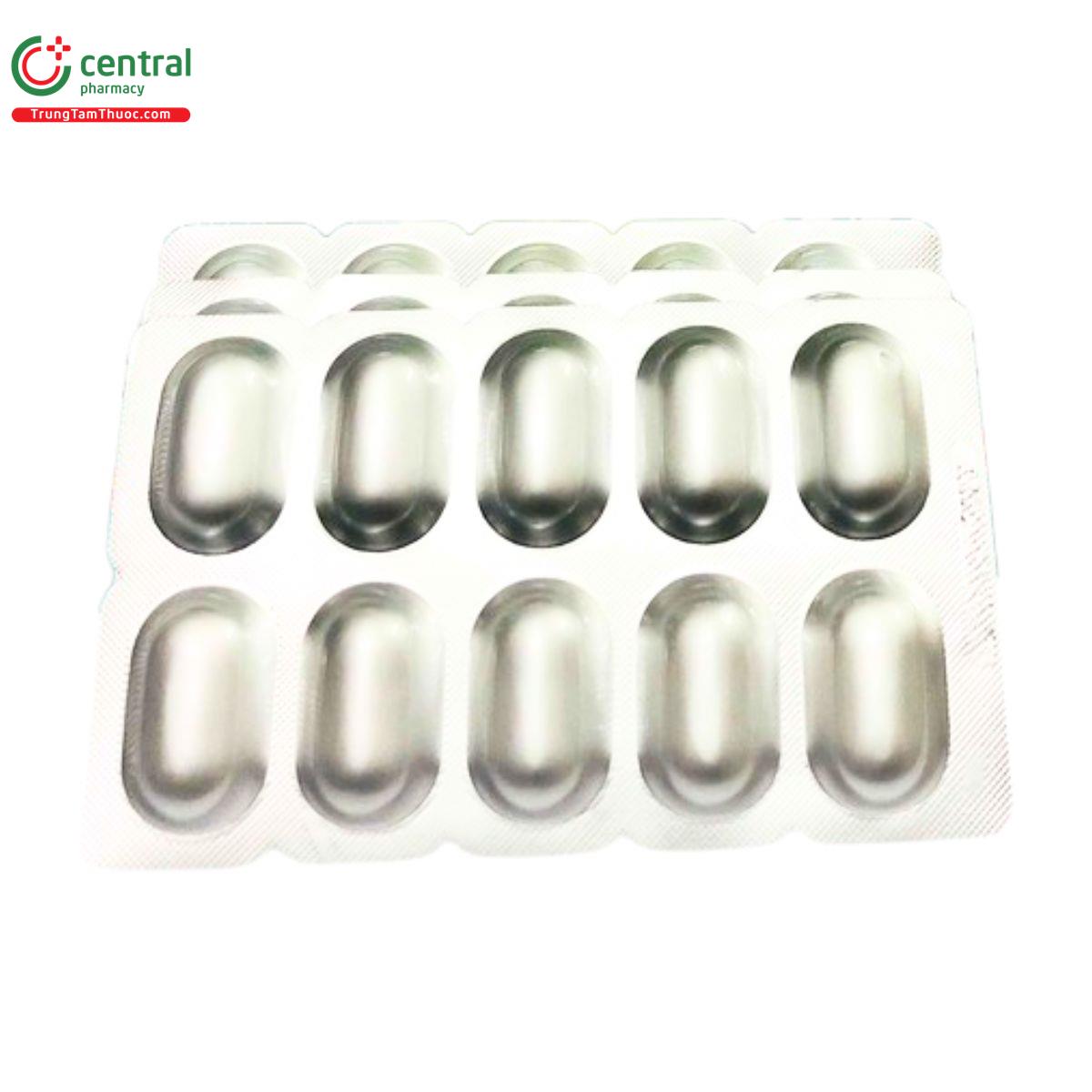 bach doi dong duoc viet 8 O5057