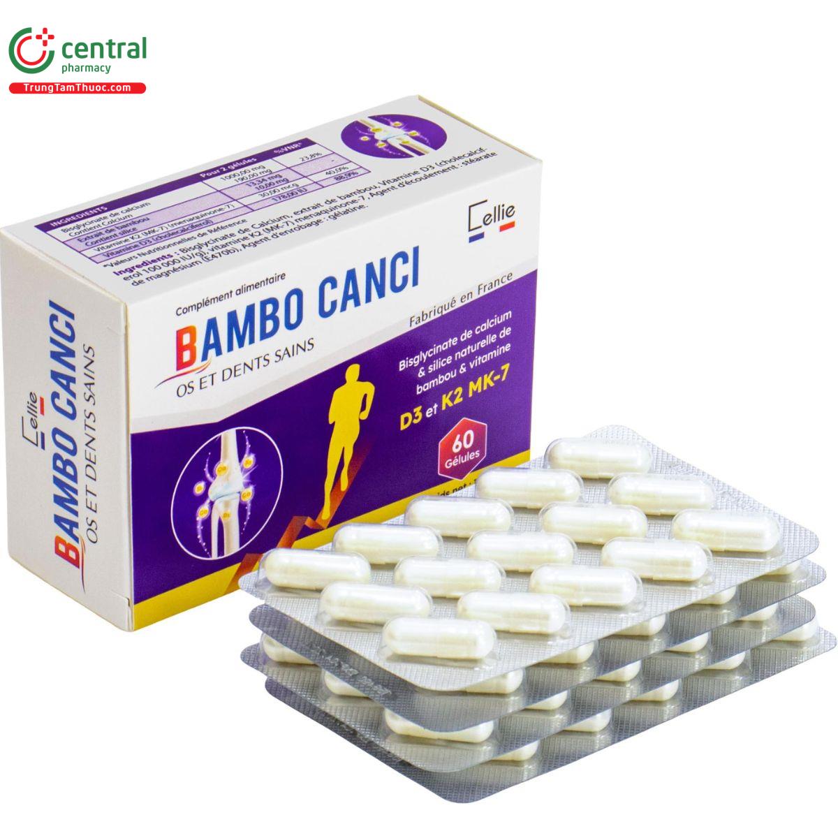 bambo canci 5 A0303