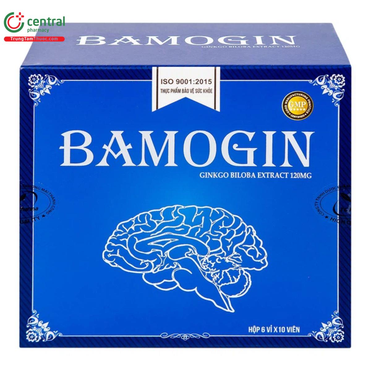 bamogin 3 H3106