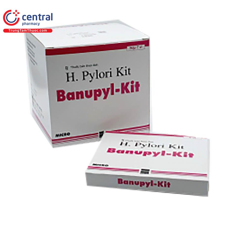 banupyl kit 1 B0347