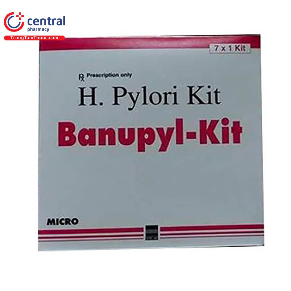 banupyl kit E1164