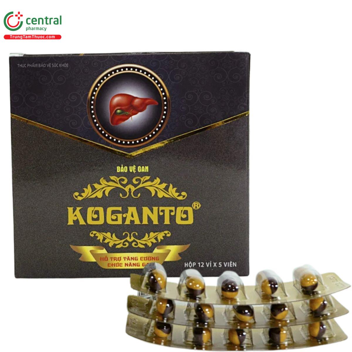 bao ve gan koganto 6 D1513 bao ve gan koganto 6 D1513