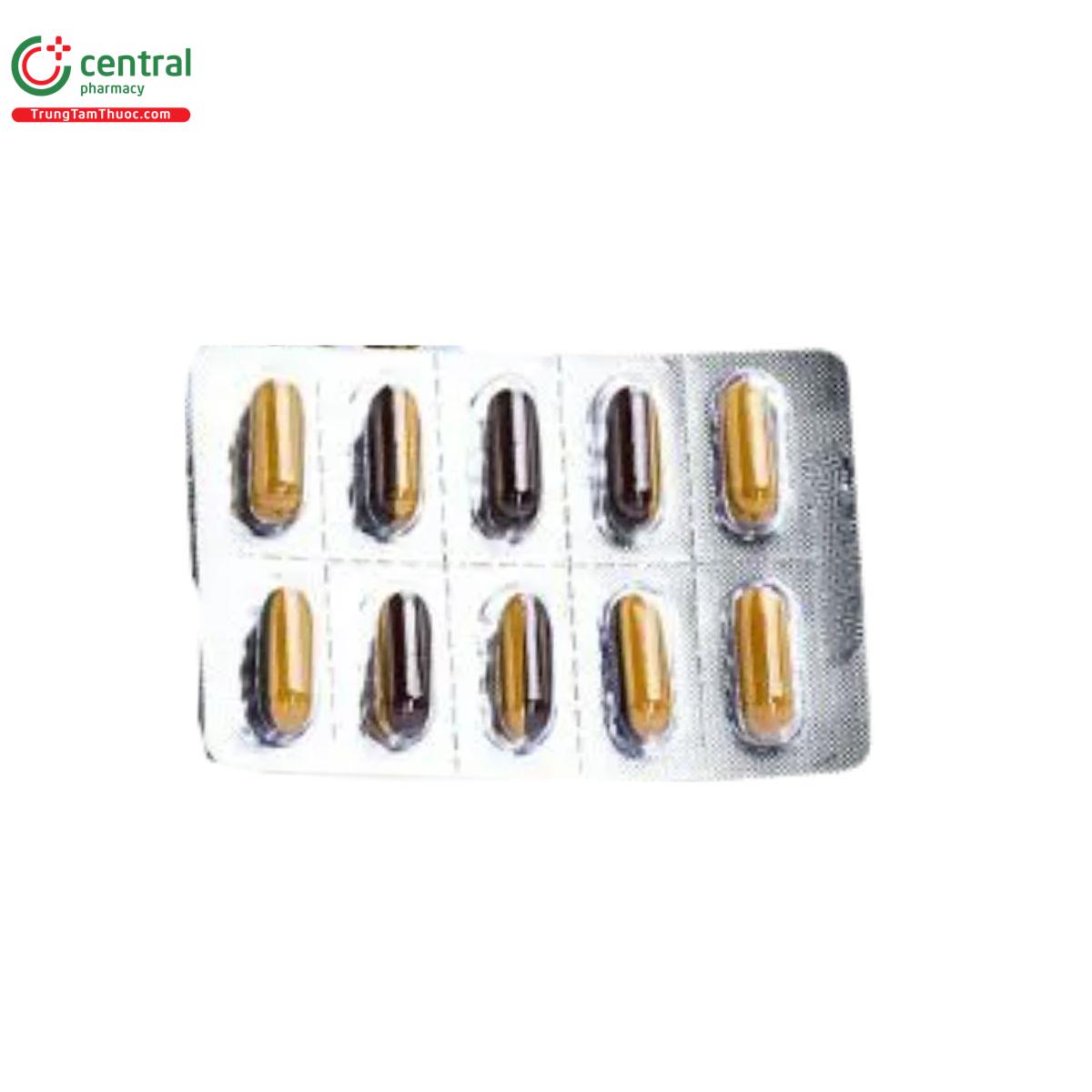 bat bao vi khang safesto 4 K4374