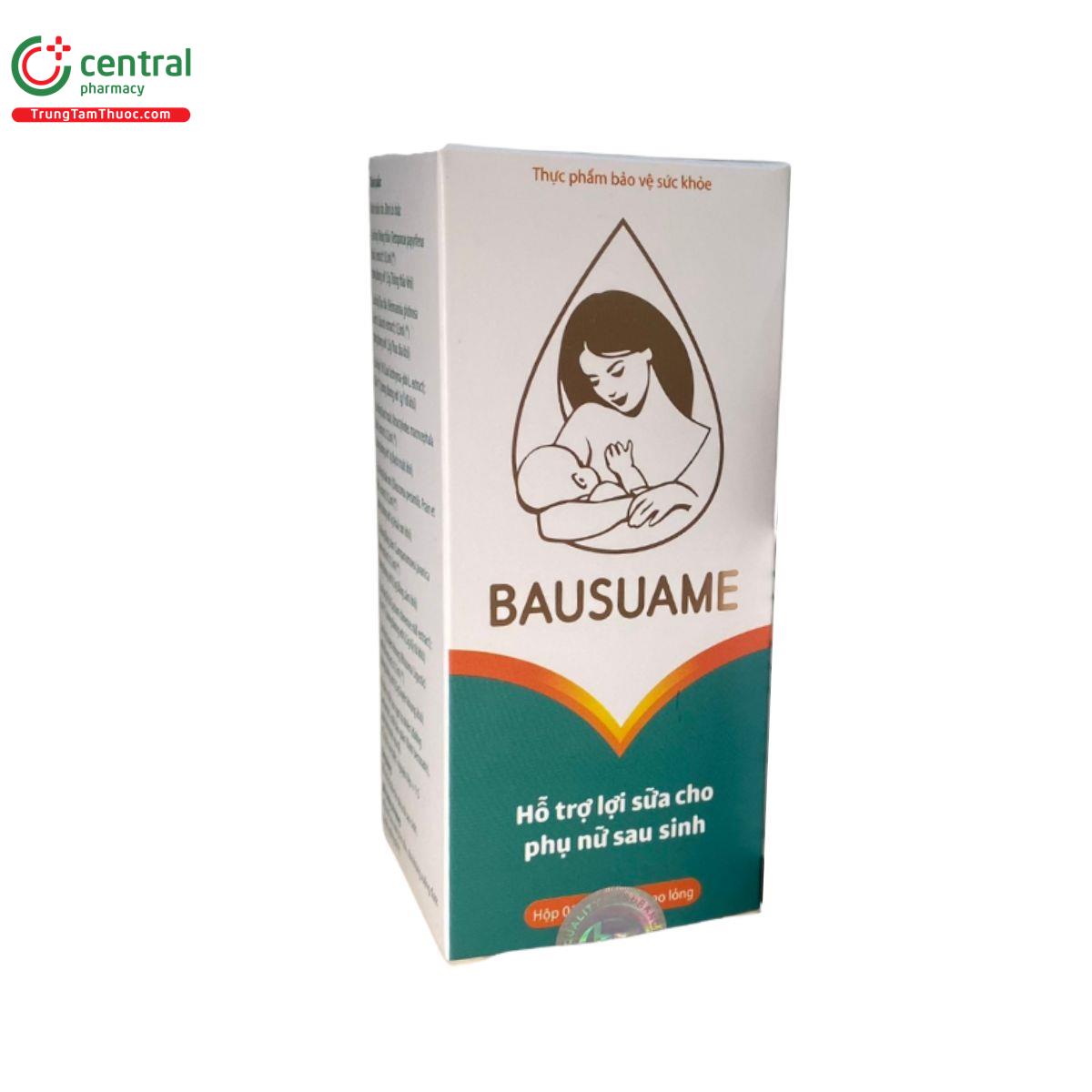 bausuame 3 G2135