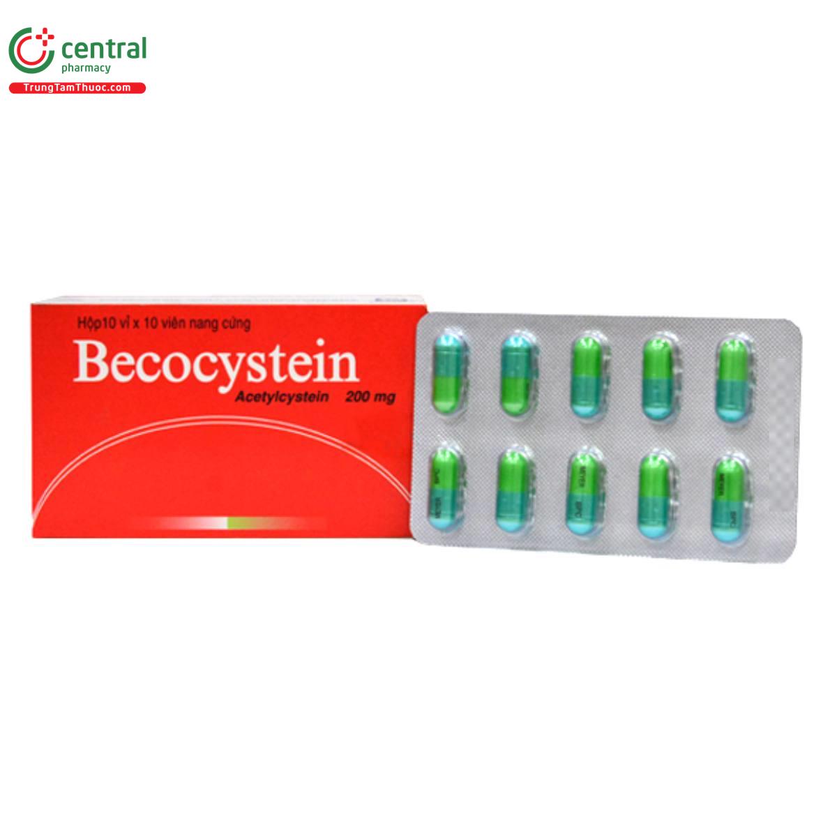 becocystein 1 D1262