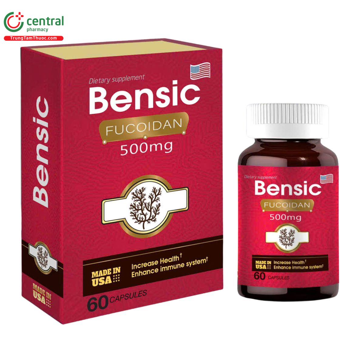 Thuốc Bensic giúp hỗ trợ tăng cường sức đề kháng của cơ thể