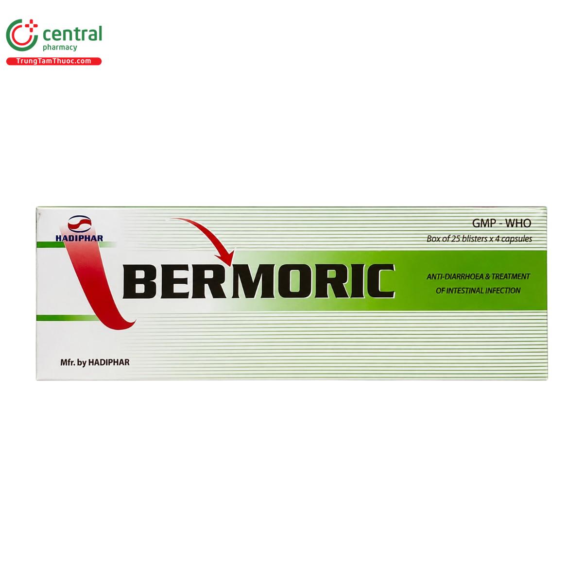 bermoric 1 V8728 bermoric 1 V8728