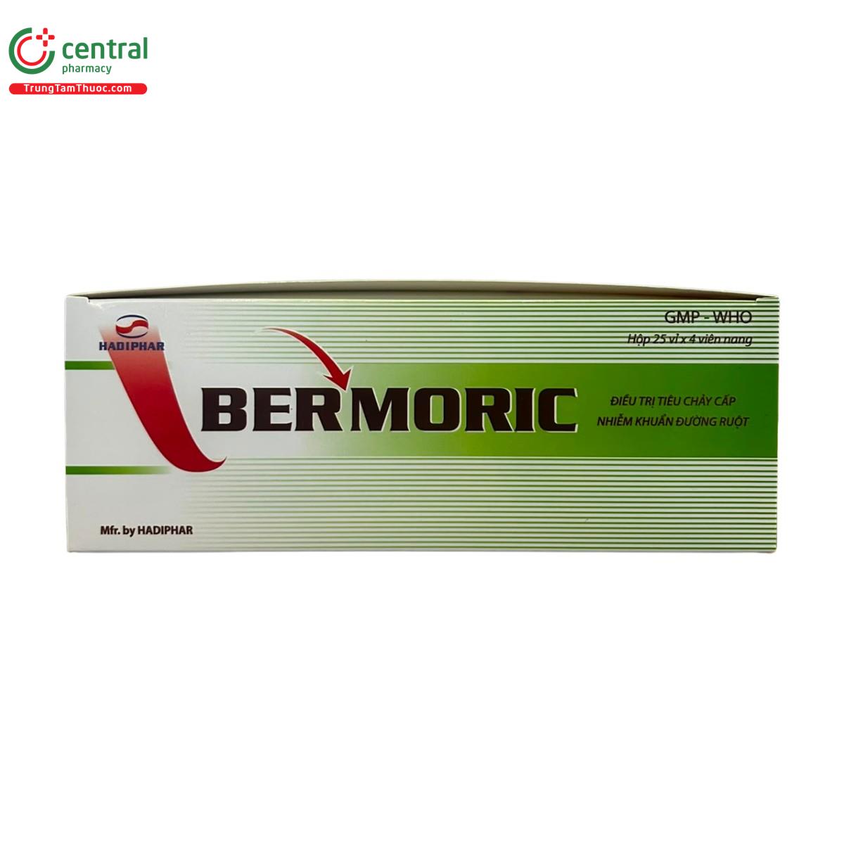 bermoric 2 K4026 bermoric 2 K4026