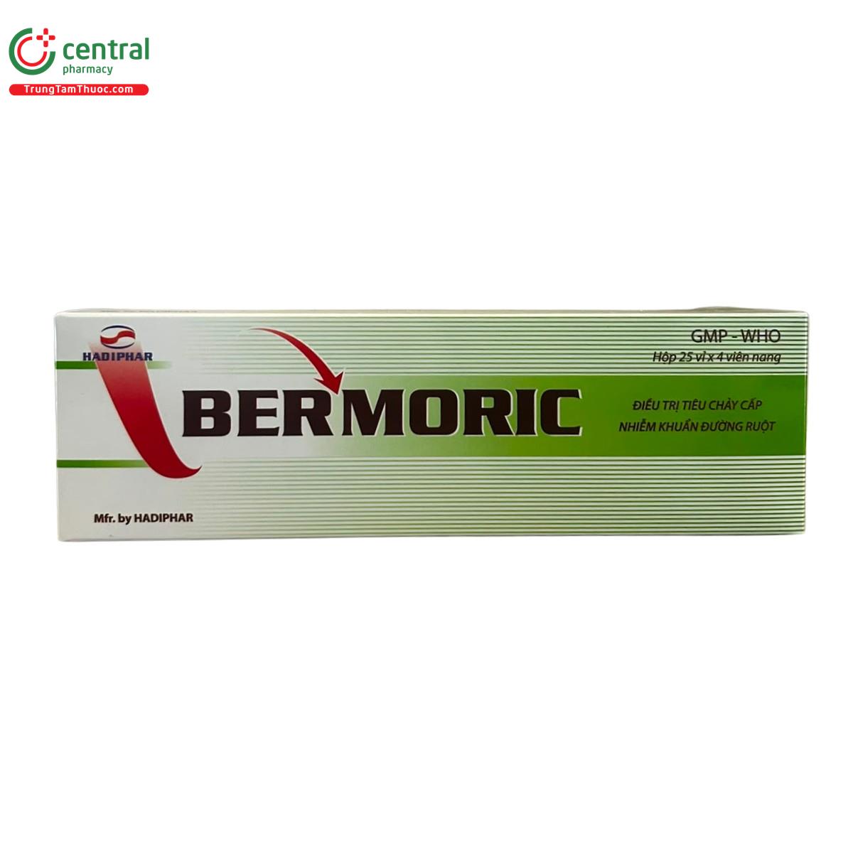 bermoric 3 V8223 bermoric 3 V8223