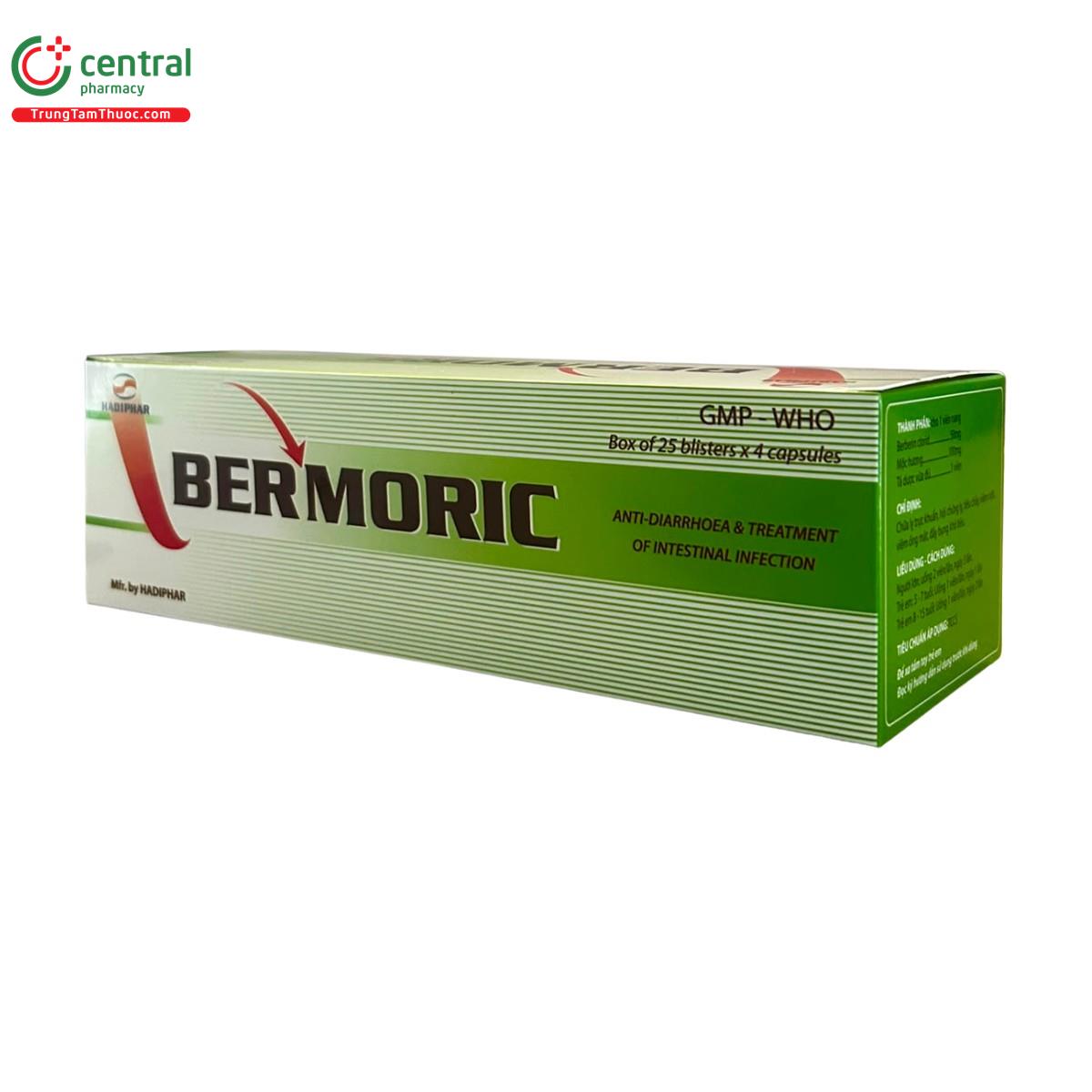 bermoric 4 P6576 bermoric 4 P6576