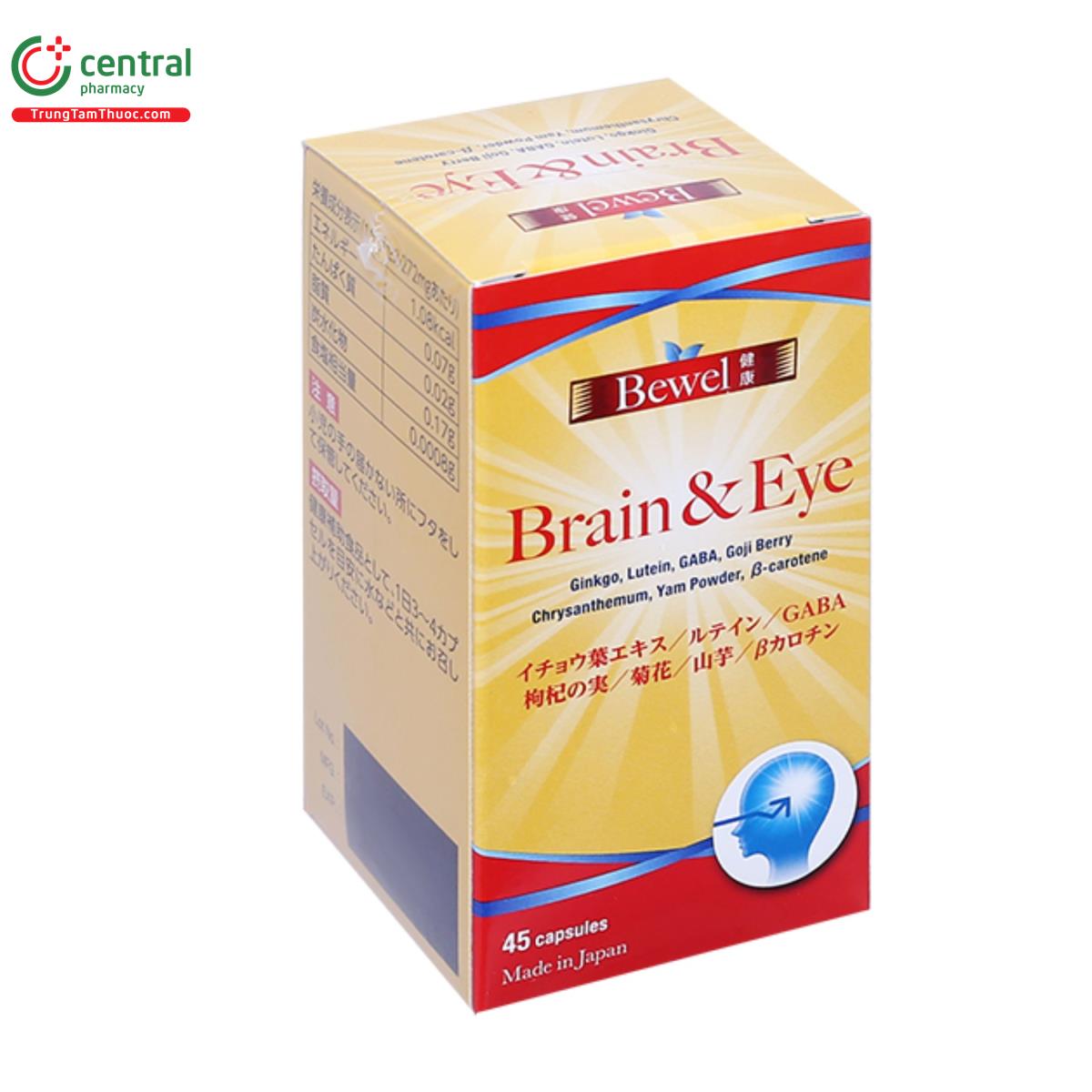 bewel brain eye 2 D1017