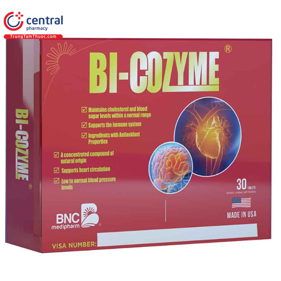 bi coenzyme 1 K4260