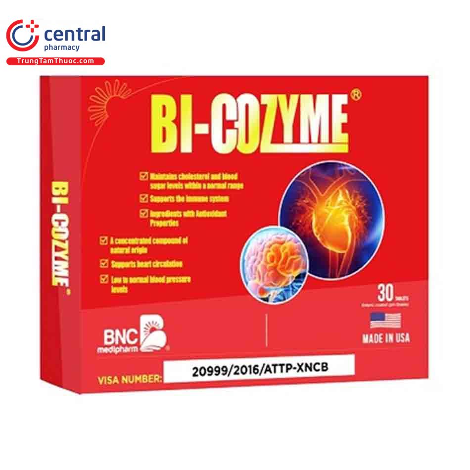 bi coenzyme 1 Q6141