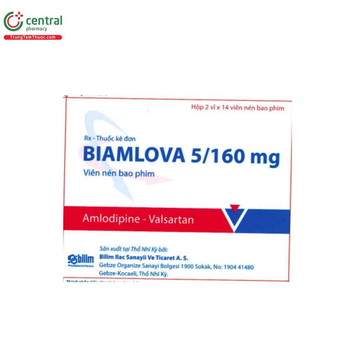 biamlova 2 I3124