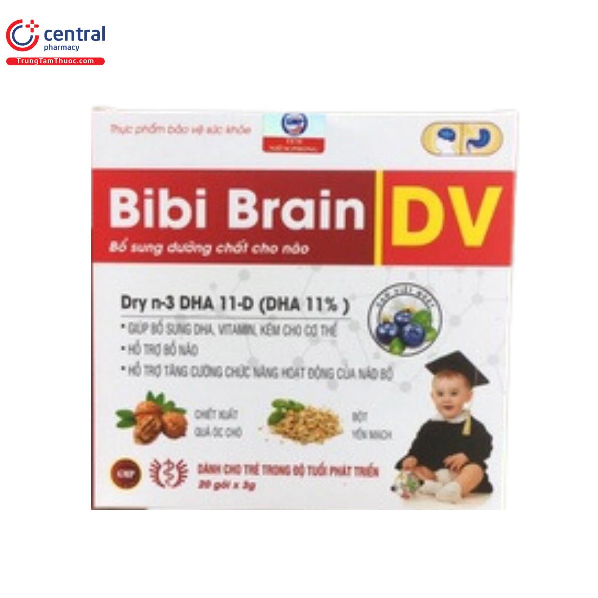 bibi brain dv 3 A0425