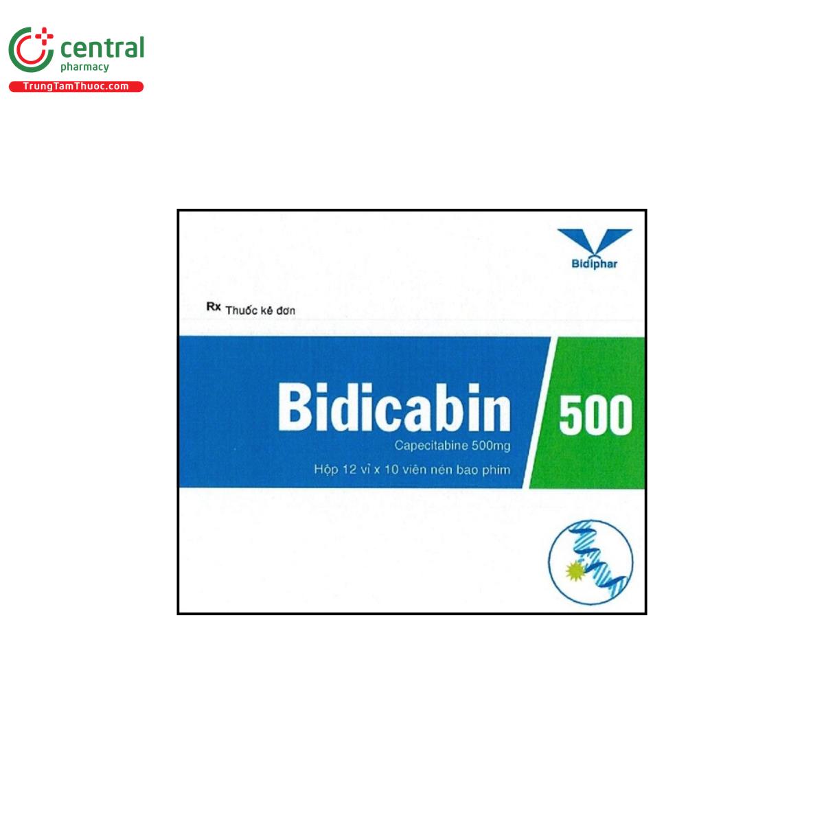 bidicabin 500 1 D1705 bidicabin 500 1 D1705