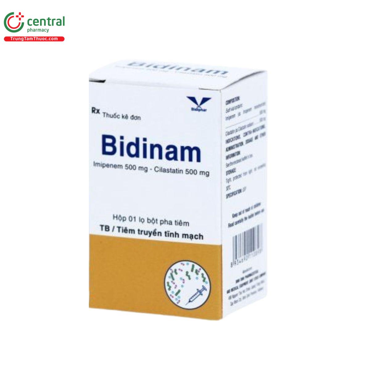bidinam 2 L4273