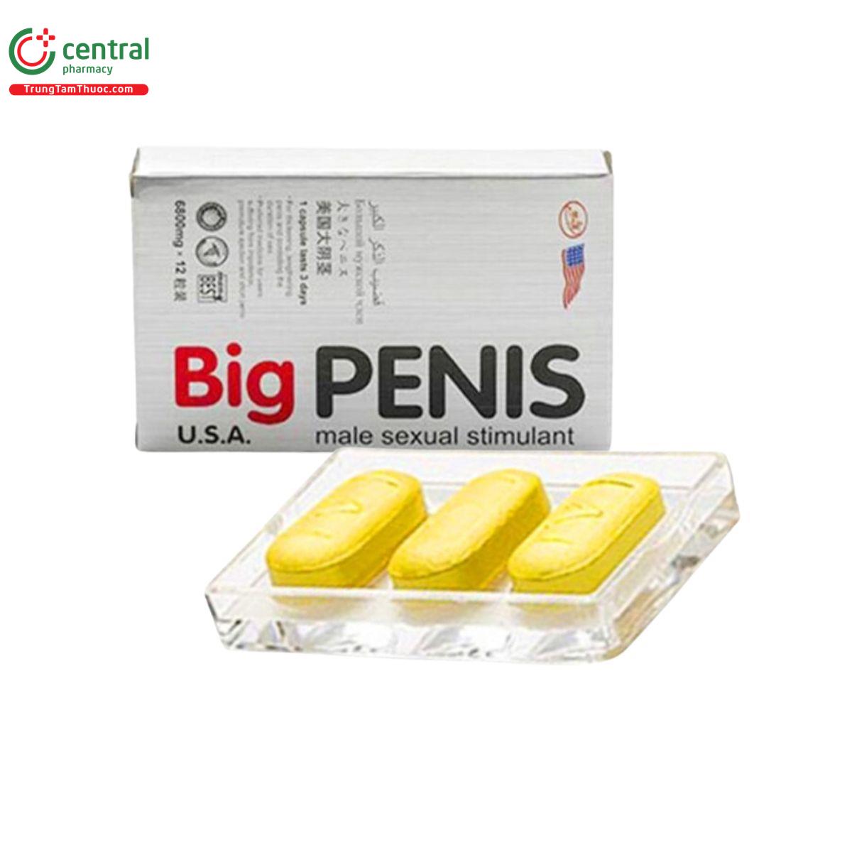 big penis 5 L4221