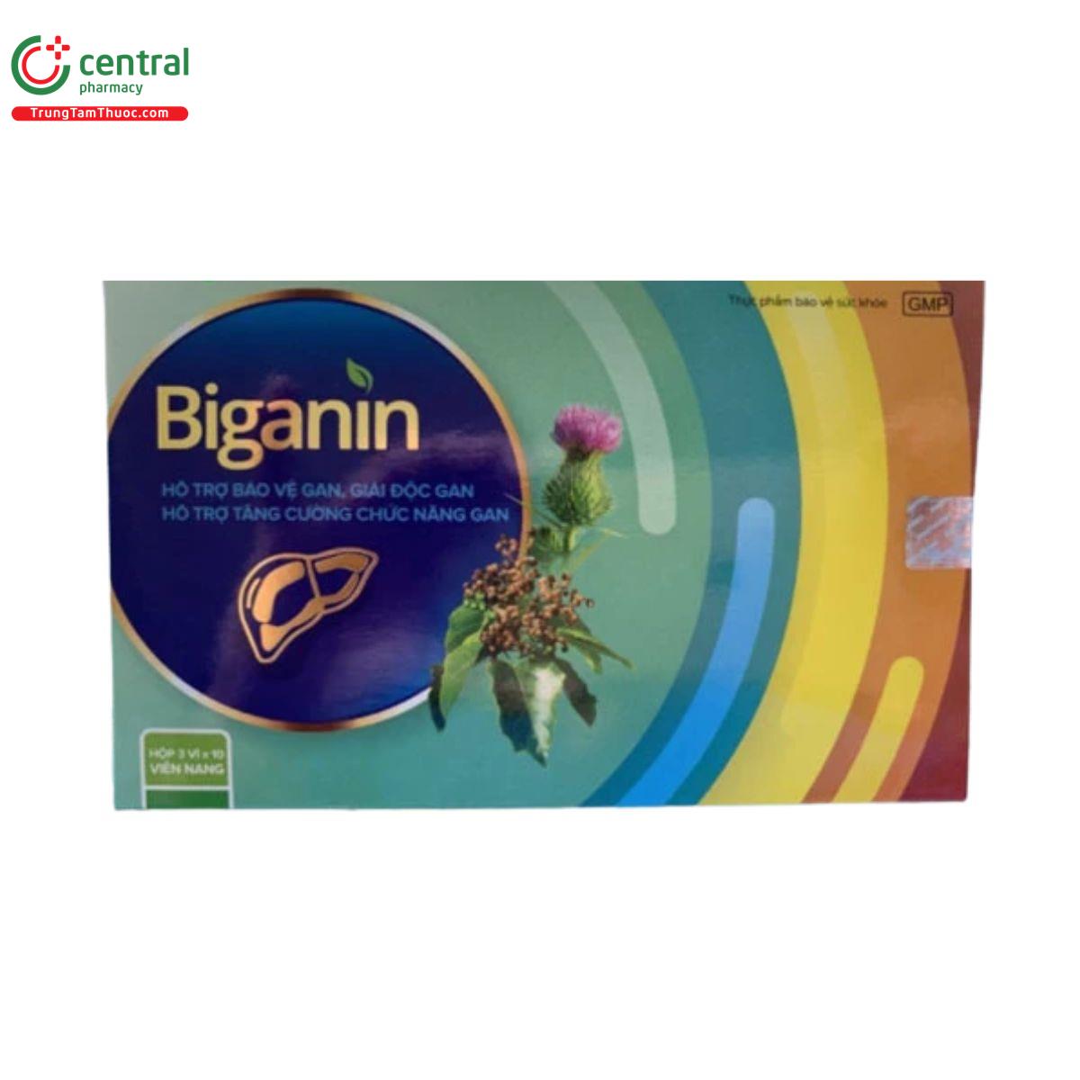 biganin 1 V8305 biganin 1 V8305