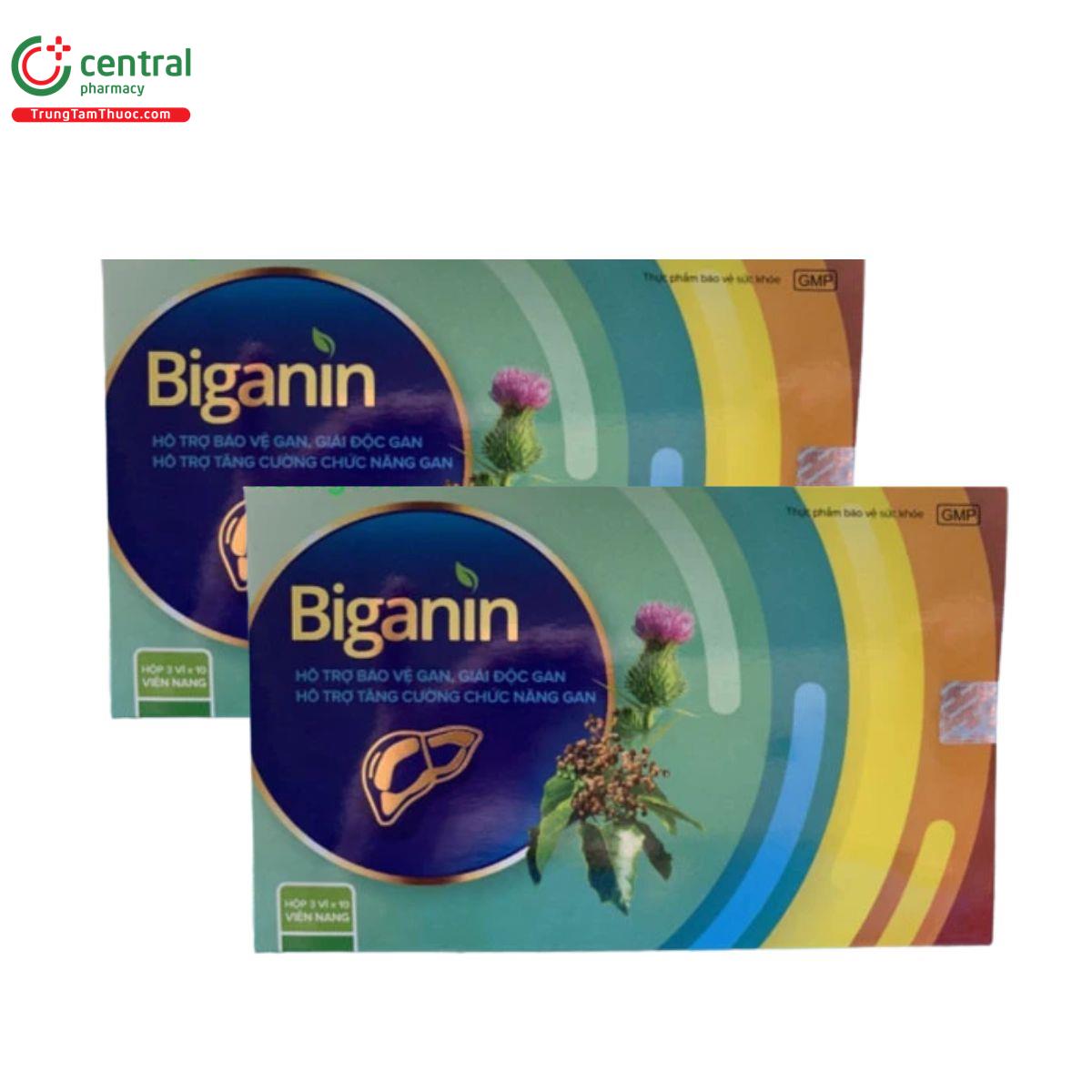 biganin 2 G2044 biganin 2 G2044