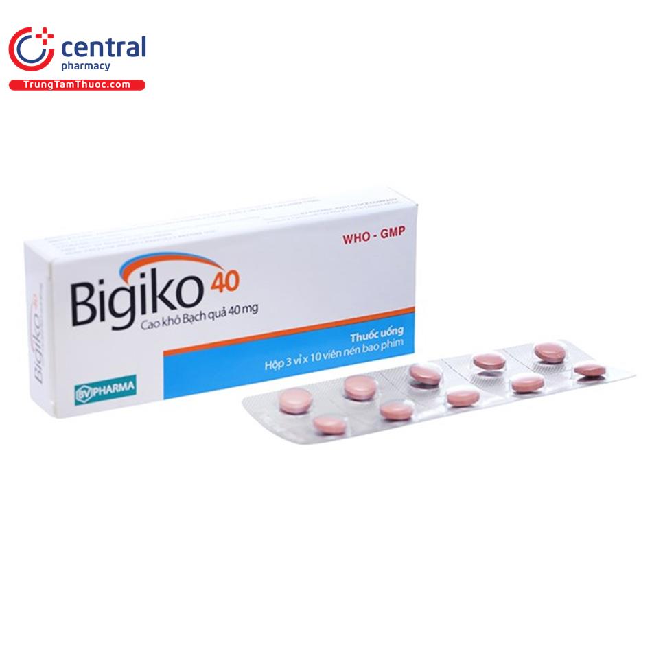 bigiko 40 01 I3770