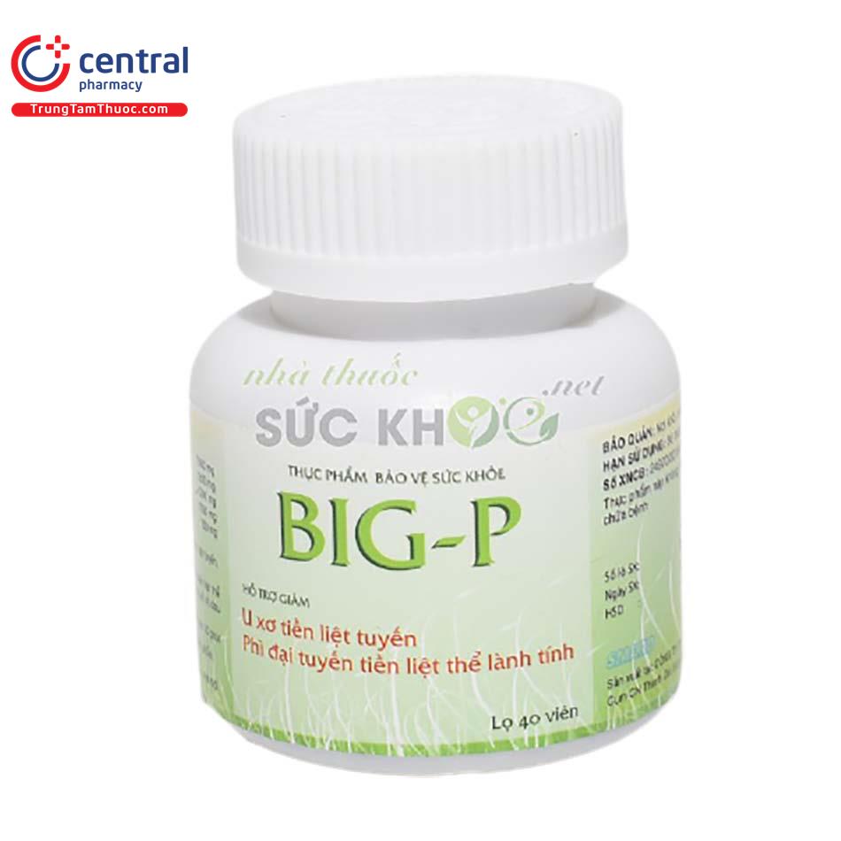 bigp2 P6851